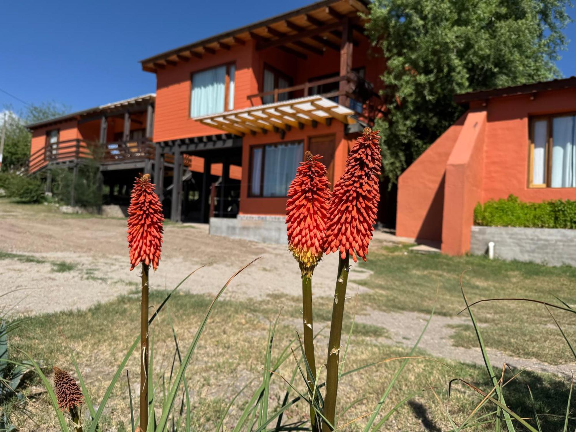 Cabana El Churqui Tafí del Valle Exterior photo